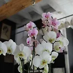 Bed & Breakfast Le Clos Des Troubadours