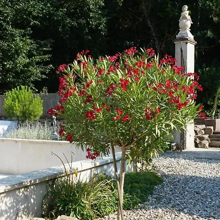 Bed & Breakfast Le Clos Des Troubadours