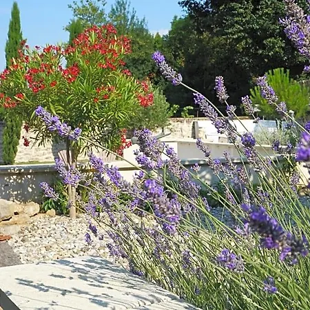 Le Clos Des Troubadours Bed & Breakfast