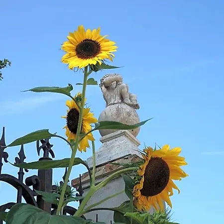 Le Clos Des Troubadours Bed & Breakfast 4*